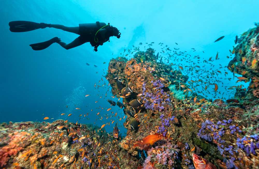 Great Barrier Reef