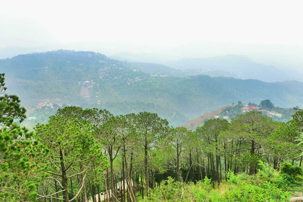 near kasauli tourist places