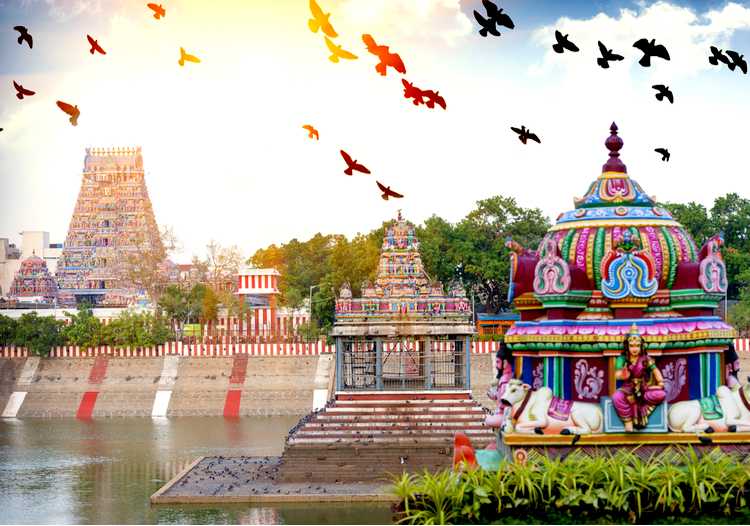 chennai to tourism package