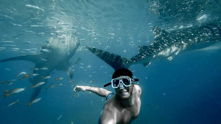 Diving in Hong Kong