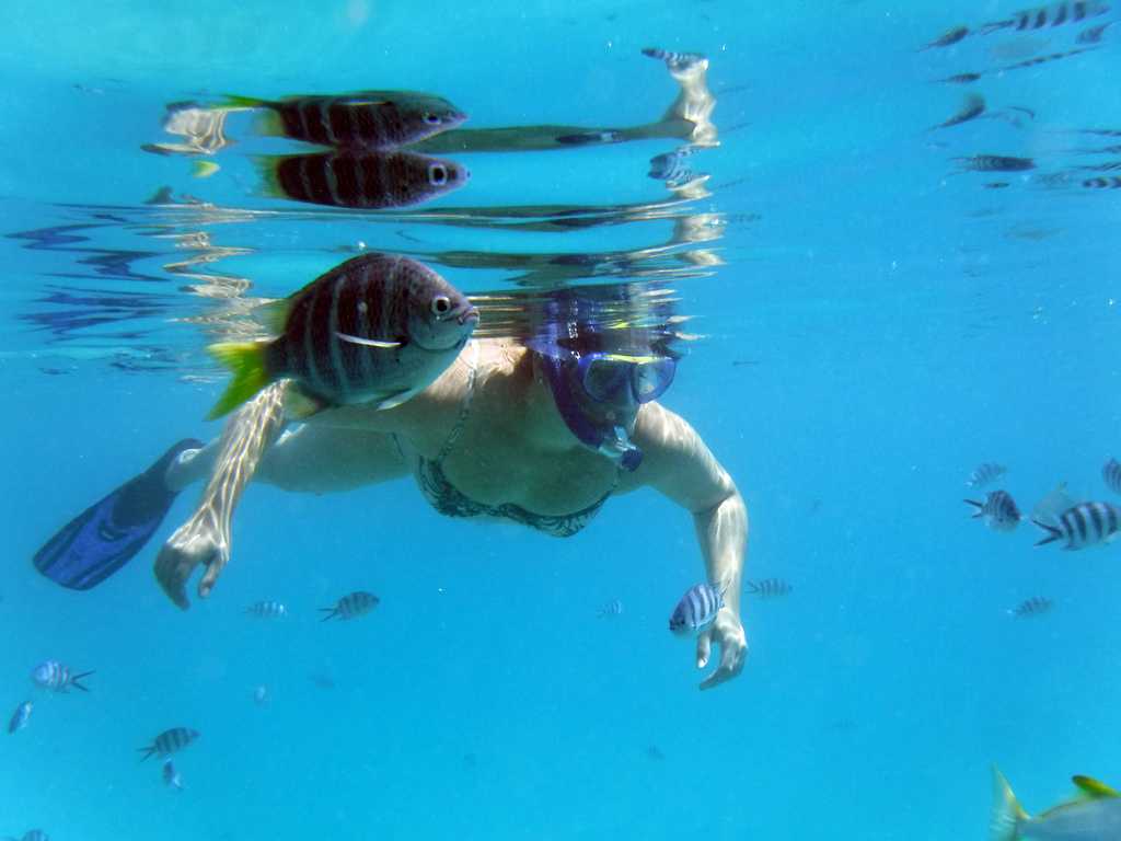 Underwater, April in Seychelles