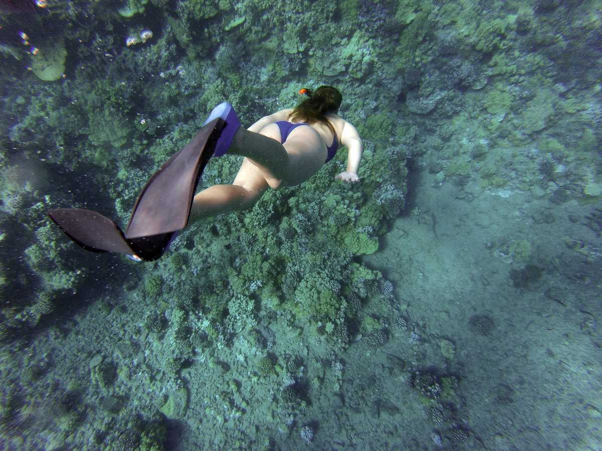 Snorkelling in Perhentian Islands