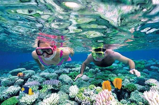 best snorkeling in roatan, roatan snorkeling tours