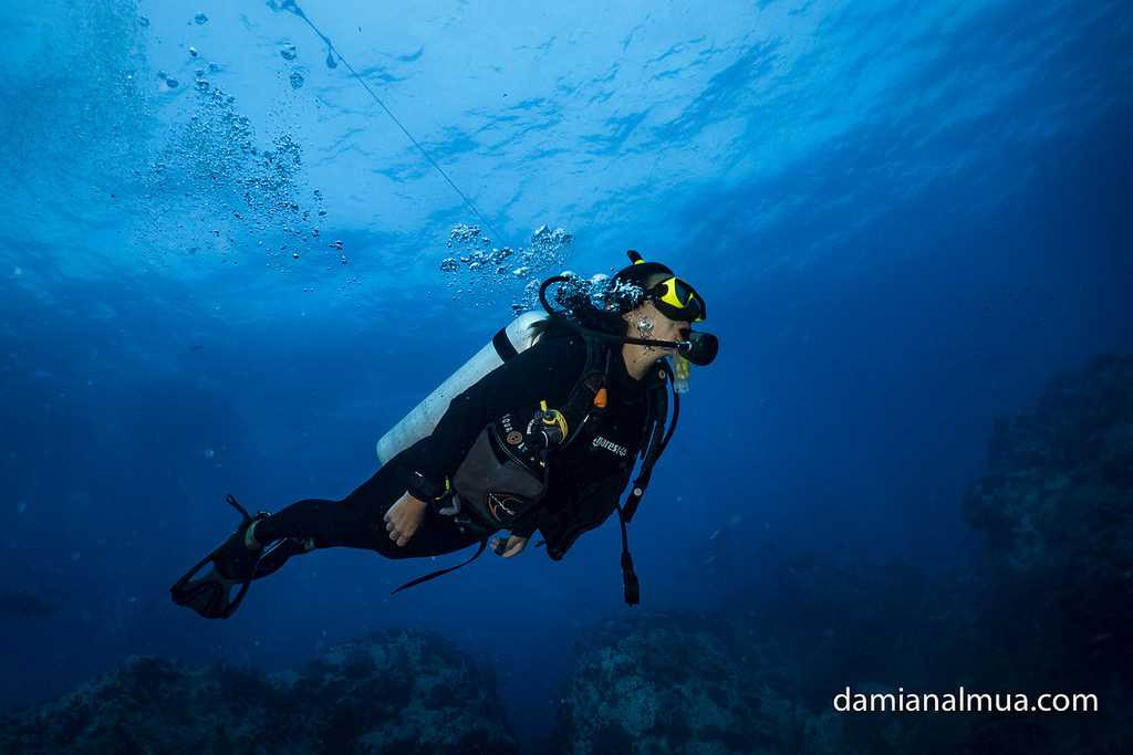 Southwest Pinnacle Koh Tao, Dive Sites Near Koh Tao