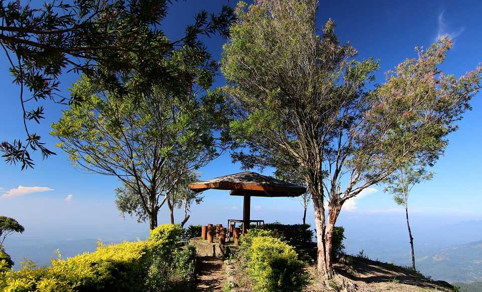 Sri Lanka Landscape