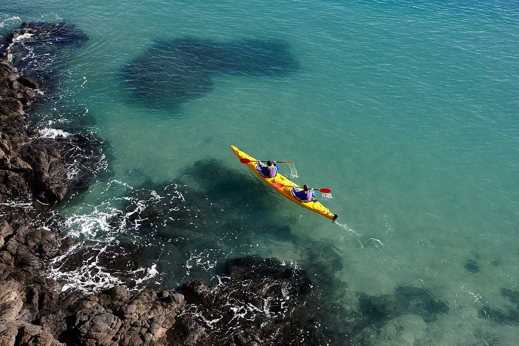 Taiaroa Head