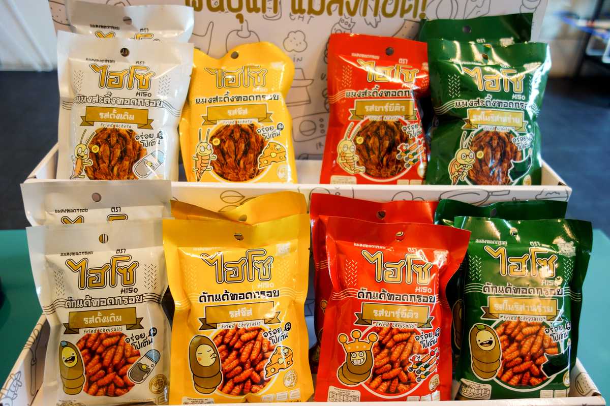 Insectes comestibles