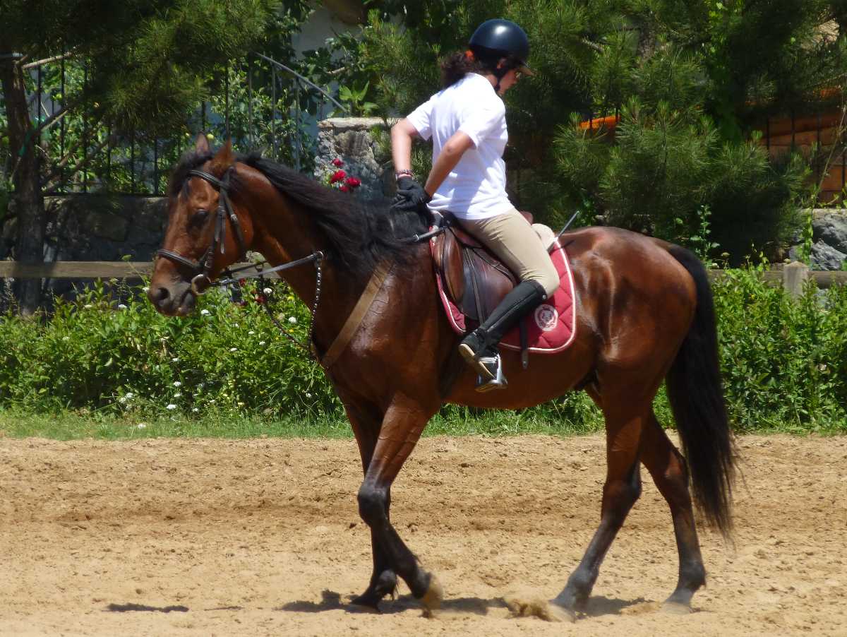 Horse riding in Hong Kong