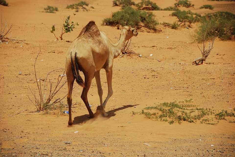 Ras al Khaimah