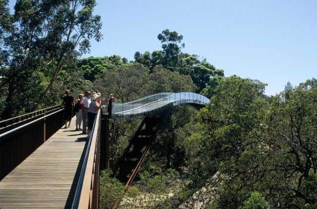 Lotterywest Federation Walkway Kings Park Perth