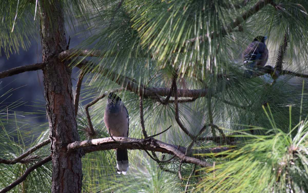 Facilties in Mrugavani National Park