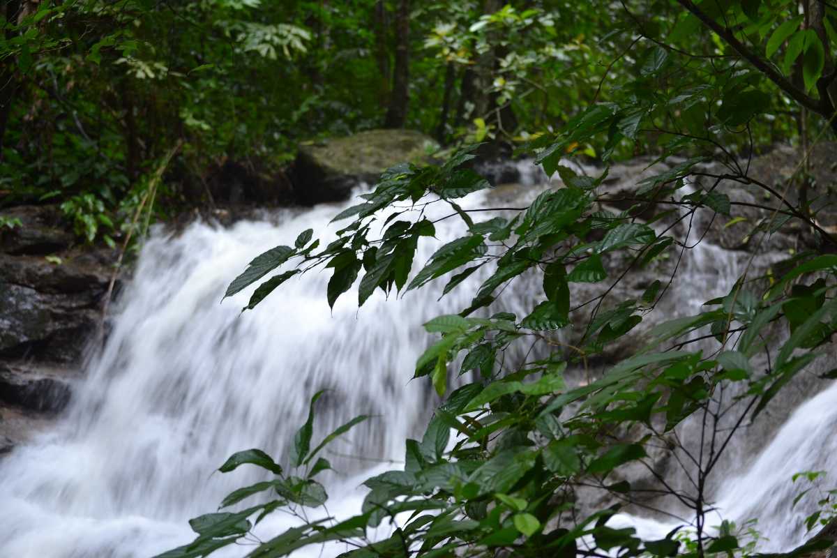 Ton Sai Waterfall