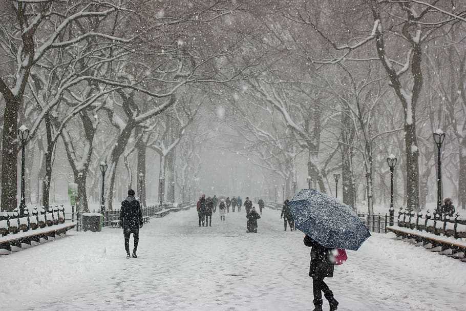 December in New York City Weather, Things To Do, What To Wear