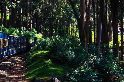 Nilgiri Mountain Railway