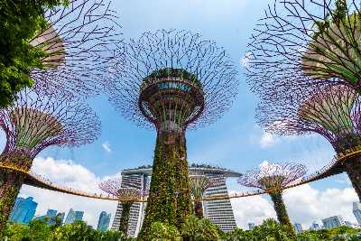42 Things To Do In Singapore Places To Visit In Singapore 2020