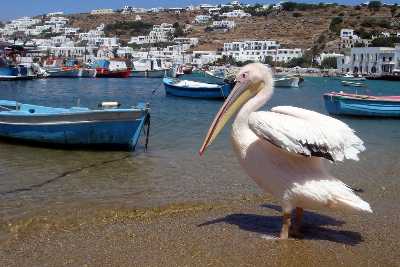 Shopping in Mykonos - 7 Places to Shop Till You Drop - Holidify