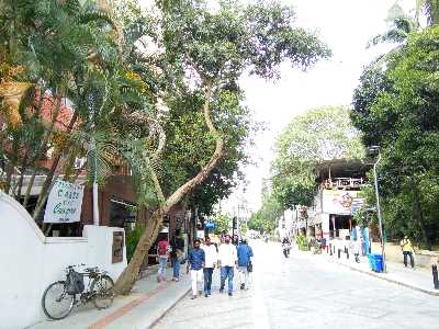 Louis Philippe in Mahadevapura,Bangalore - Best Readymade Garment