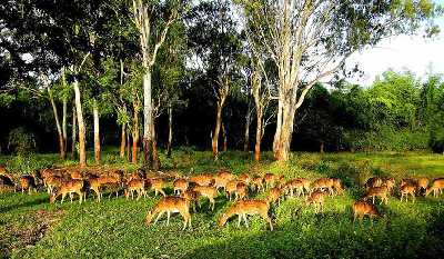 88 Top Wildlife Sanctuaries in India 2023