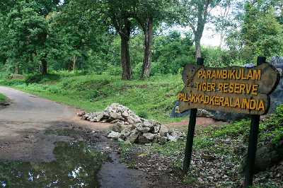 20 Wildlife Sanctuaries in Kerala for Wildlife Lovers (2023 )