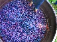 Vineyard Visit In Bangalore 2021 Cost Timings How To Reach Holidify Vineyard tours and tastings are conducted every hour and cost 400 rupees for five wines. vineyard visit in bangalore 2021