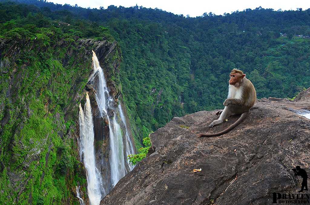 shimoga sagara tourist places