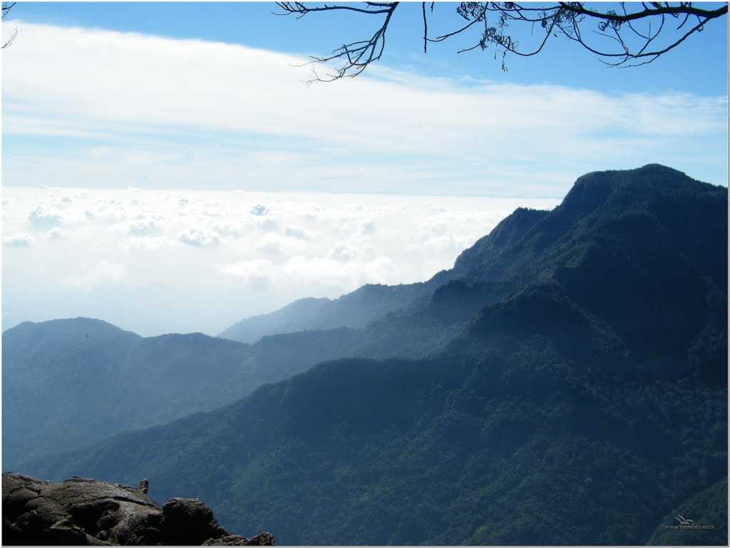 Best Places near Bangalore for Summers, coonoor