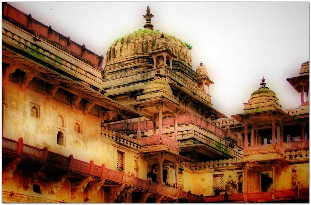 orchha tourism holidify