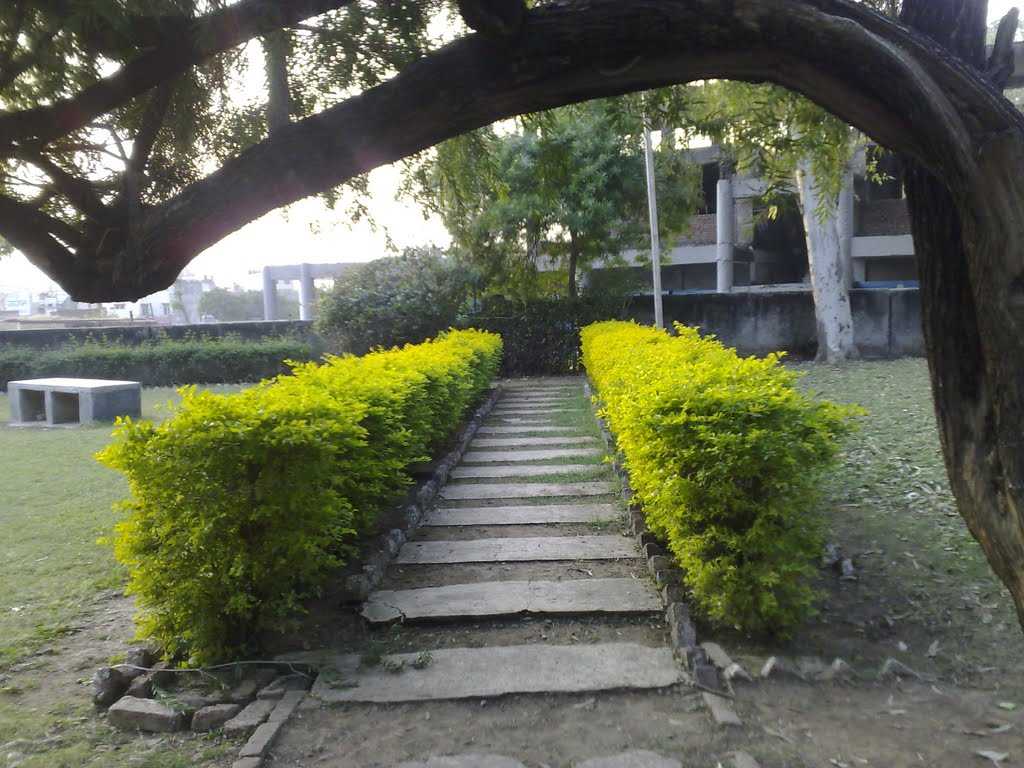 Nalagarh Tourism > Travel Guide, Best Attractions, Tours & Packages