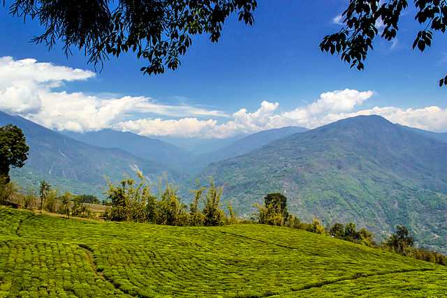 Sikkim, 100 % Organic State