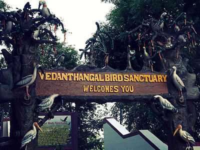 Image result for vedanthangal