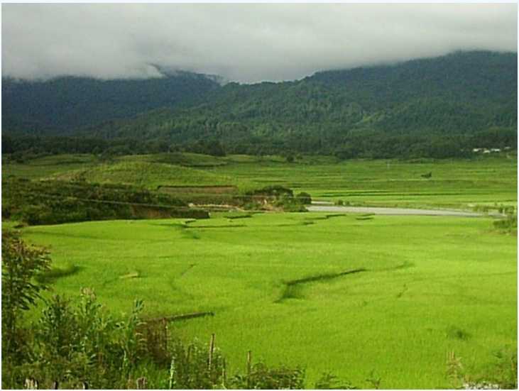 tourist place in ziro