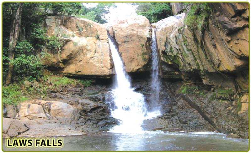 Law's Falls, Coonoor httpswwwholidifycomimagescompressed5175jpg