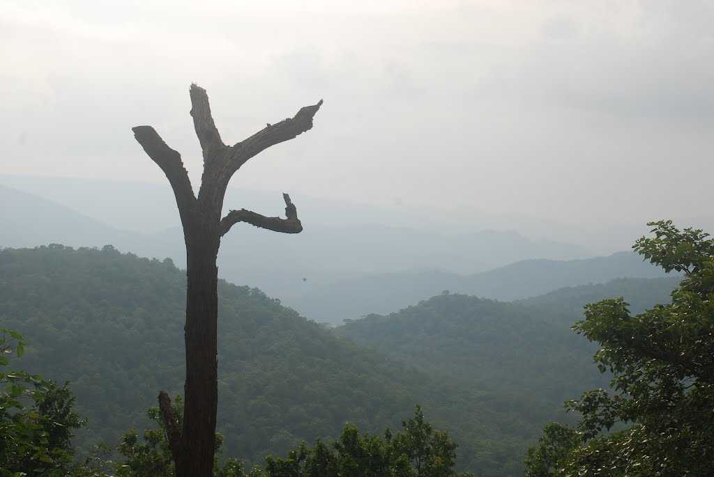 Netarhat Tourism > Travel Guide, Best Attractions, Tours & Packages