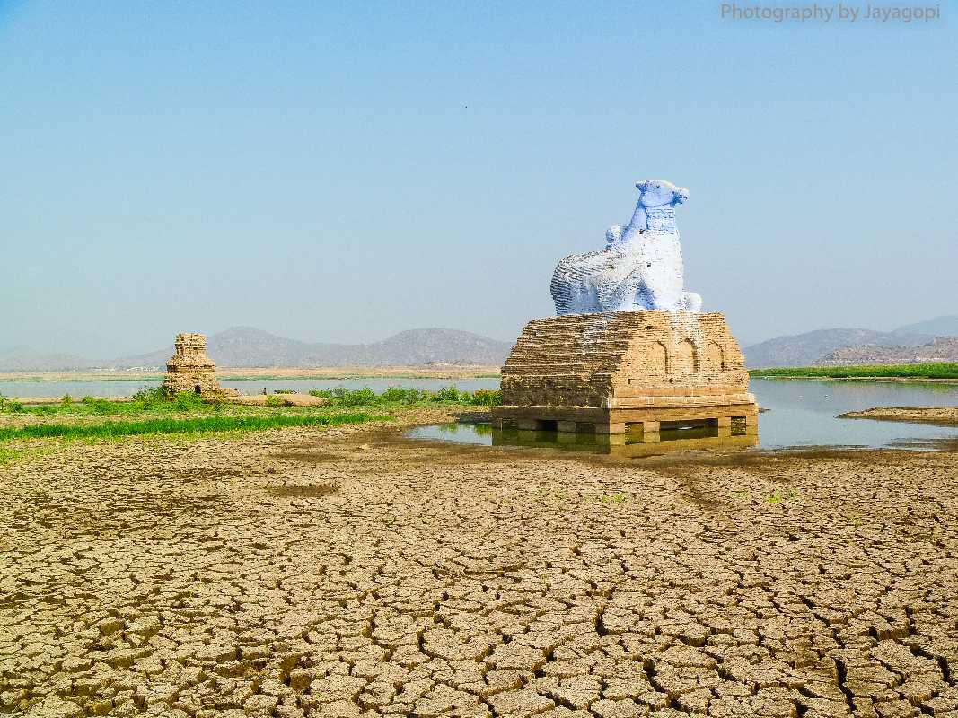 Image result for no water in mettur dam