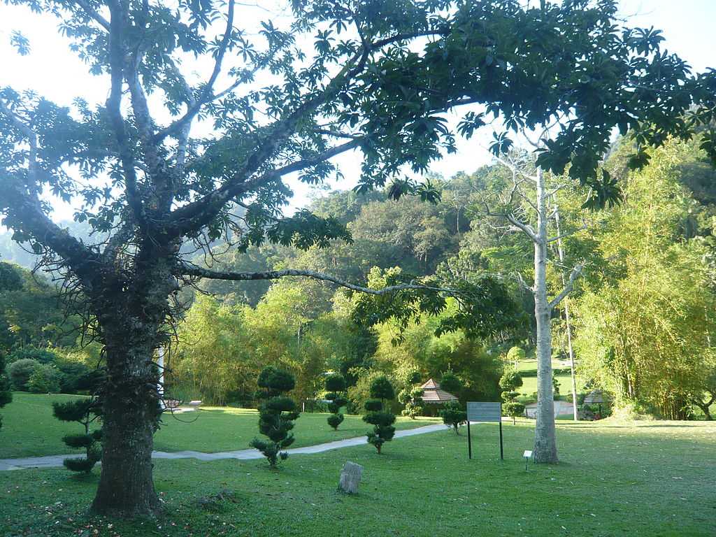 Picnic at east coast park