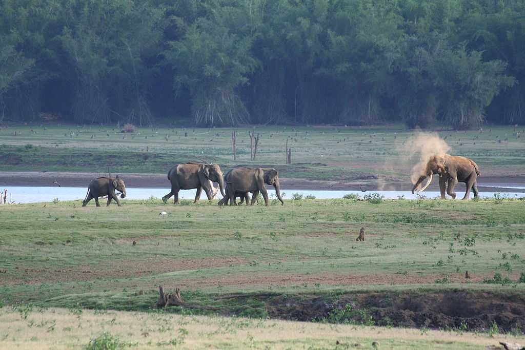 nilgiri hills tourist places