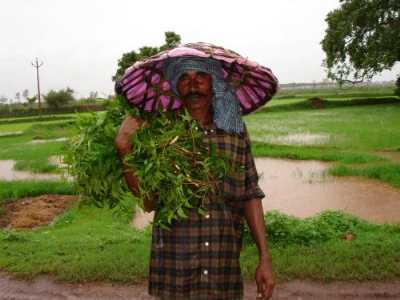 tourist place chhattisgarh